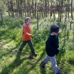 52010570 - Scouts en Gidsen Zaventem 
